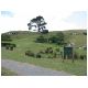 12-Matamata-Hobbiton.html