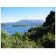 19-Lake_Rotoaira.html