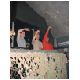 15-Birthdays.html